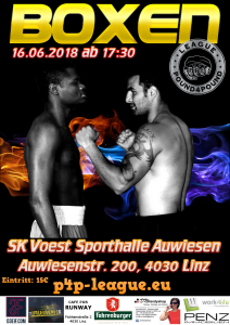 Plakat Linz 2018 Juni_Arash vs. Salami